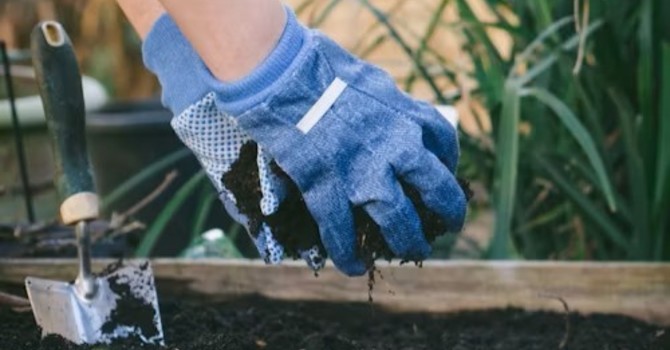 Have You Topped Up Your Beds Lately? 