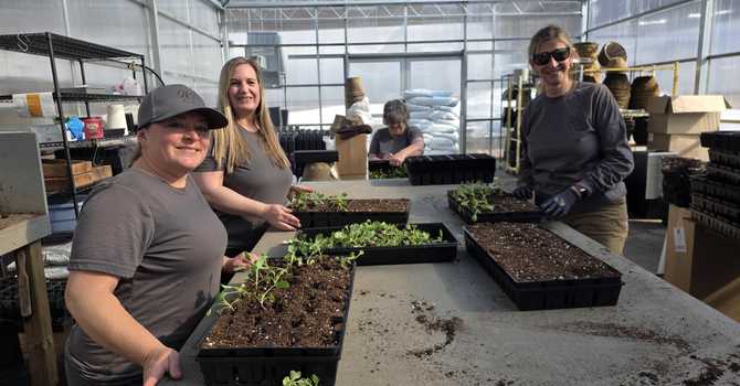 Welcome to the Potting Shed